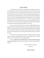 Nghiên cứu công nghệ thi công cọc bê tông cốt thép dự ứng lực trong công trình thủy lợi 