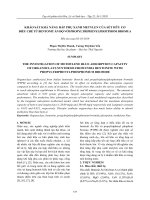 Khảo sát khả năng hấp phụ xanh metylen của sét hữu cơ điều chế từ bentonit ấn độ với propyltriphenylphotphoni bromua