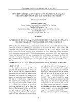 Tổng hợp vật liệu xúc tác quang compozit BiVO4/Ta2O5/g-C3N4 nhằm ứng dụng phân hủy các chất hữu cơ ô nhiễm