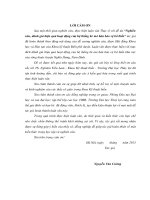 Nghiên cứu đánh giá hiệu quả hoạt động của hệ thống kè mỏ hàn bảo vệ bờ biển 