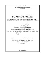 Nghiên cứu ứng dụng enzyme lipase từ mủ đu đủ để làm giàu dha và epa của dầu cá hồi  
