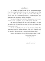 Nghiên cứu ảnh hưởng của vị trí gối bản lề tới lực kéo và trạng thái ứng suất   biến dạng của cửa van cung nhịp lớn 