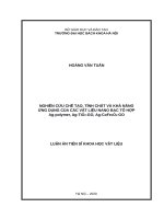 Nghiên cứu chế tạo, tính chất và khả năng ứng dụng của các vật liệu nano bạc tổ hợp ag polymer, ag tio2 GO, ag cofe2o4 GO 