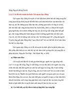 2.2.2.1. TCTPVHDG - HongDuyen