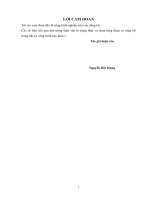 Một số giải pháp nâng cao hiệu quả quản lý đầu tư công trong chương trình nước sạch và vệ sinh môi trường nông thôn tại điện biên 