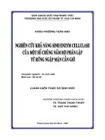 Nghiên cứu khả năng enzym cellulase của một số chủng nấm sợi phân lập từ rừng ngập mặn cần giờ 