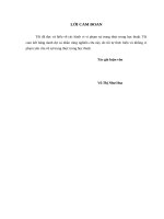 Luận văn thạc sỹ - Các giải pháp Marketing đối với thẻ Vietinbank Visa Signature của Ngân hàng TMCP Công Thương Việt Nam tại Chi nhánh Thành phố Hà Nội