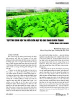 Tập tính sinh học và diễn biến mật độ sâu xanh bướm trắng trên rau cải xanh