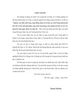 Nghiên cứu diễn biến lòng sông hồng đoạn bờ tả khu vực bát tràng, thành phố hà nội và đề xuất giải pháp công trình ứng dụng công nghệ mới bảo vệ cho các đoạn bờ sông nguy hiểm sát chân đê 