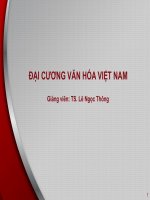 Bài giảng Đại cương văn hóa Việt Nam: Bài 5 - TS. Lê Ngọc Thông