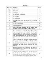 SKKN - Một số giải pháp trong việc thực hiện sắp xếp bộ máy và chính sách tinh giản biên chế tại trường THPT Lê Hồng Phong