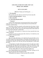 sáng kiến chạy bền 2019