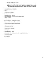 Đề cương ôn tập môn tiếng Pháp Khối 12 HKI năm học 2019-2020 – Trường Trung học Quốc Gia CHU VĂN AN (Trường Bưởi)