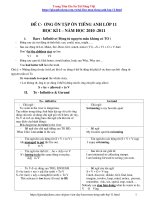 Đề Cương Ôn Thi Lớp 11 Môn Tiếng anh HK1