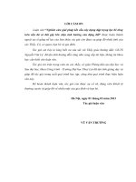 Nghiên cứu giải pháp kết cấu xây dựng đập trọng lực bê tông trên nền đá có đứt gãy lớn chịu ảnh hưởng của động đất 