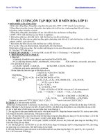 Đề Cương Ôn Tập Học Kỳ 2 Môn Hóa Lớp 11