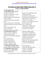 Từ Vững Và Ngữ Pháp Tiếng Anh Lớp 11 Nâng Cao