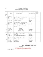 Soạn giáo án học kì I lớp 2 - Tài liệu học tập - Hoc360.net