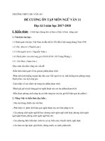 Đề cương ôn tập HKI môn Văn – Trường Trung học Quốc Gia CHU VĂN AN (Trường Bưởi)