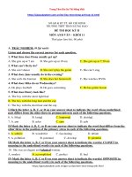 Đề Kiểm Tra Tiếng Anh Học Kì 2 Lớp 11 Mới Nhất