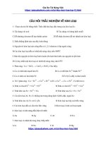 Câu hỏi trắc nghiệm về Kim Loại