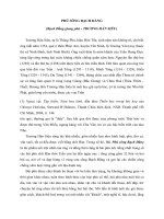 Phân tích, bình giảng tác phẩm Phú sông Bạch Đằng