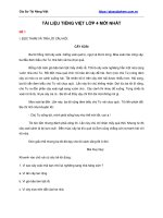 Tài Liệu Tiếng Việt Lớp 4 Mới Nhất