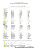 Đề Cương Ôn Thi Tiếng Anh Học Kỳ 1 Lớp 12