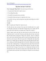 Tập làm văn lớp 5, Tả đồ vật