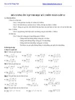 Đề Cương Ôn Tập Học Kỳ 2 Môn Toán Lớp 11