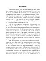 Nghiên cứu tỷ lệ nhiễm, kiểu gen caga, vaca của helicobacter pylori ở bệnh nhân viêm dạ dày mạn người dân tộc thiểu số tỉnh lào cai và đắc lắc tt 