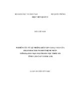 Nghiên cứu tỷ lệ nhiễm, kiểu gen caga, vaca của helicobacter pylori ở bệnh nhân viêm dạ dày mạn người dân tộc thiểu số tỉnh lào cai và đắc lắc 