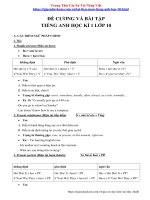 Đề Cương Ôn Thi Tiếng Anh HKI Lớp 10