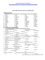 Đề Cương Ôn Tập Tiếng Anh lớp 10 Học Kì 2