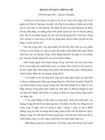 Hoàng Lê Nhất Thống Chí - Bồi Dưỡng HSG Ngữ Văn 9 - Hoc360.net