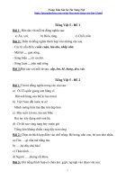 Bộ đề ôn tập môn Tiếng Việt lớp 5