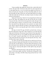 Tiểu luận môn Lịch sử Đảng “Sự lãnh đạo của Đảng đối với đội ngũ trí thức và vận dụng ở tỉnh Bắc Giang trong giai đoạn hiện nay”