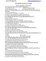 Đề Cương Ôn Tập Môn Địa Lớp 12 Học Kì 2