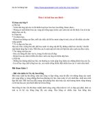 Các Bài Văn mẫu lớp 5