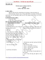 Bài soạn giáo án tổng hợp lớp 5 - Tuần 31 - Tài liệu bài giảng hay