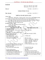 Hướng dẫn soạn Giáo án tuần 4 lớp 5 - Tổng hợp các môn