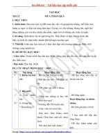 Hướng dẫn soạn Giáo án các môn lớp 5 - Tuần 12