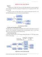 Bệnh túi thừa đại tràng 