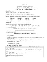 Giáo án buổi 2 tuần 12 lớp 1 - Tài liệu học tập - Hoc360.net