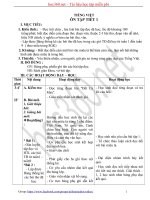 Hướng dẫn soạn Giáo án tổng hợp các môn lớp 5 - Tuần 10