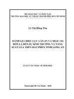Đánh Giá Hiệu Lực Lân (P) Và Silic (Si) Bón Lá Đến Sự Sinh Trưởng Và Năng Suất Lúa Trên Đất Phèn