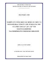 Nghiên Cứu Tổng Hợp, Xác Định Cấu Trúc Và Thăm Dò Hoạt Tính Ức Chế Tế Bào Ung Thư Của Phức Ion Cu2+