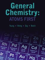 Preview general chemistry atoms first by young, susan MVining, williamday, robertabotch, beatrice (2017)