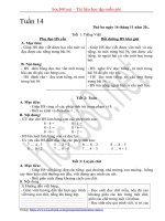 Hướng dẫn Soạn giáo án Buổi chiều lớp 1 - Tuần 14