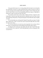 Phát triển chính sách xúc tiến cho dịch vụ tour du lịch teambuilding nội địa của công ty cổ phần đầu tư thương mại và dịch vụ du lịch trực tuyến việt nam